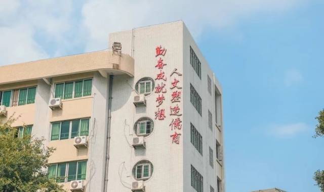 国家队团结协作取得胜利，实力不可小觑
