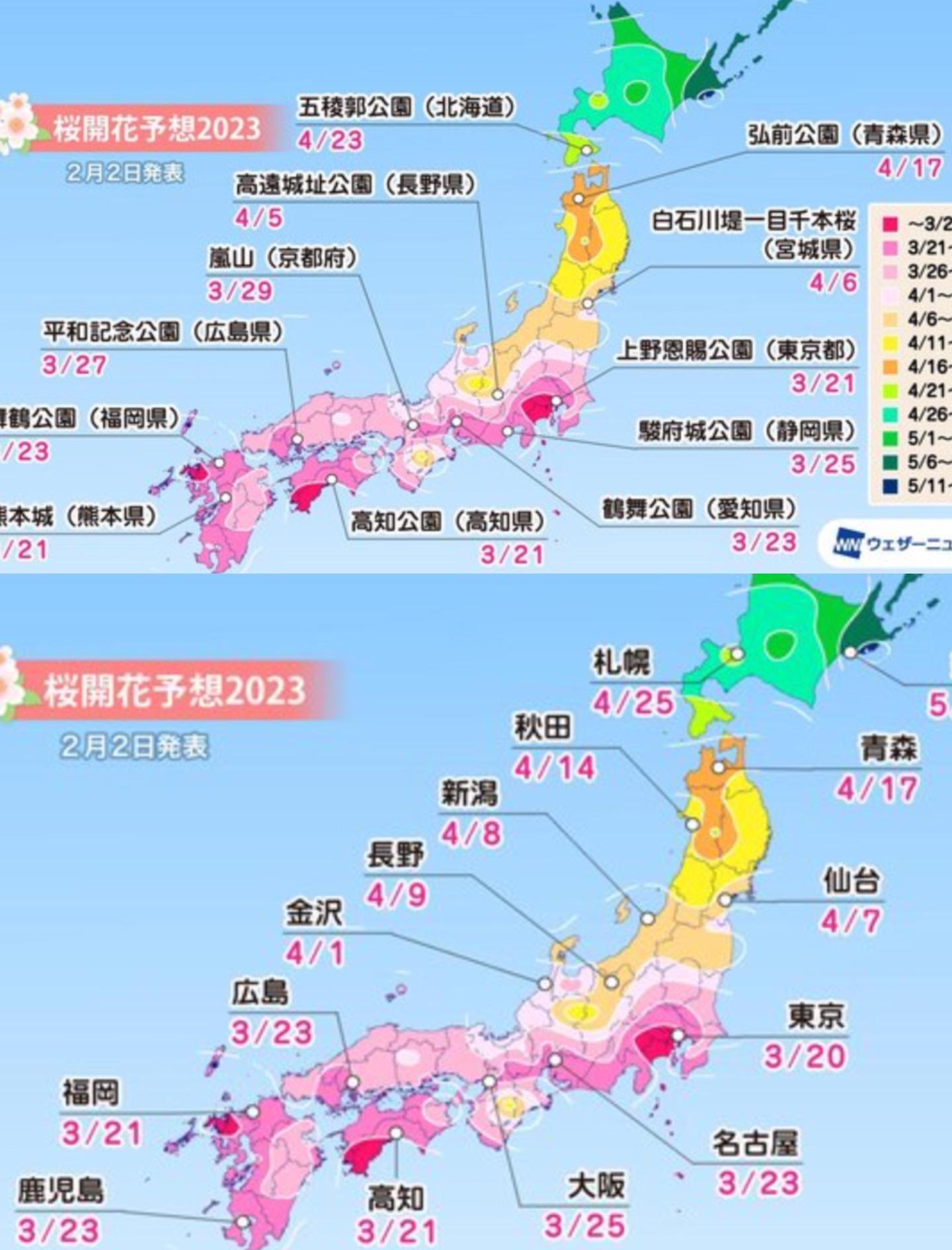 包含大阪樱花获胜，成功挺进下一轮的词条
